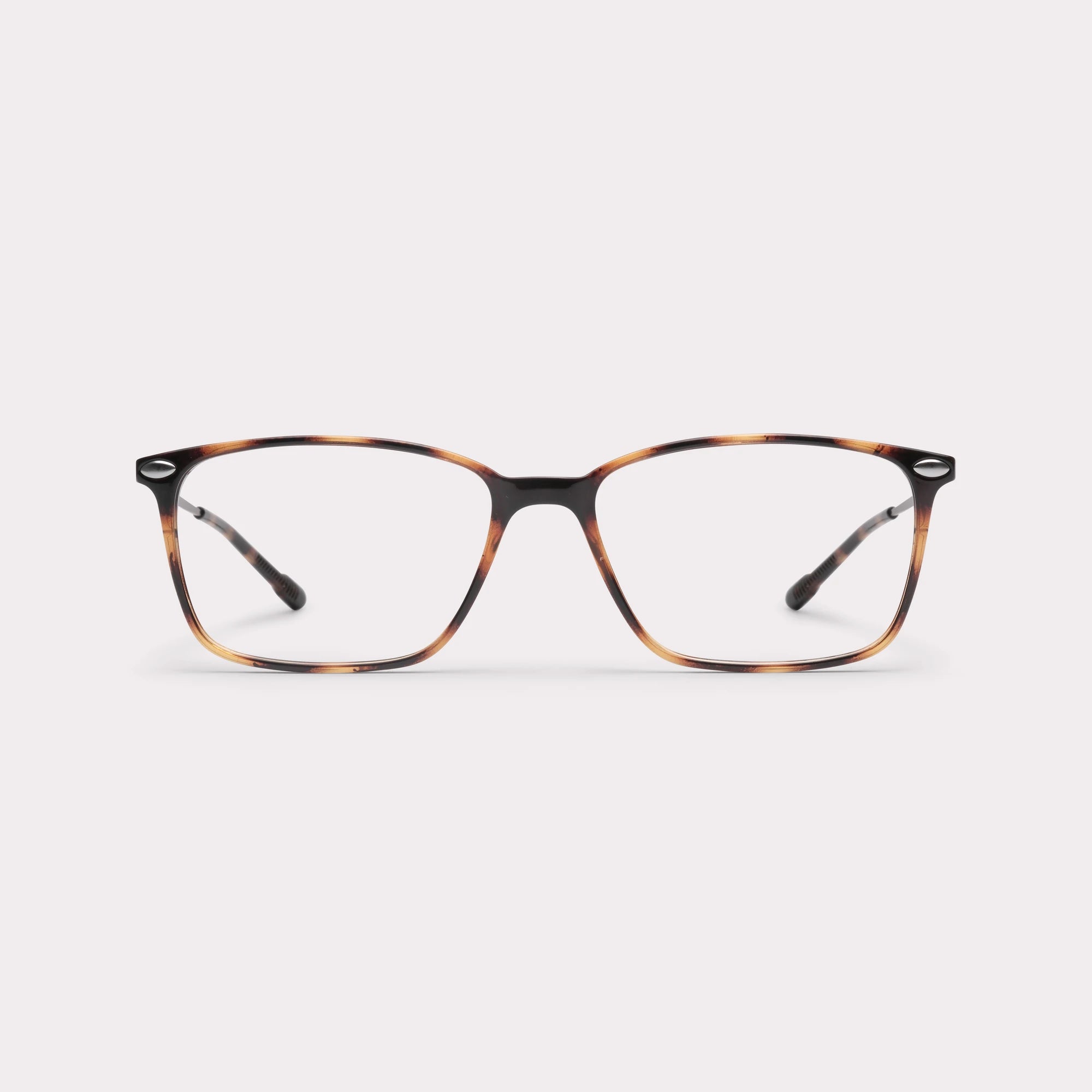 BLUE LIGHT READING BAO TORTOISE +1
