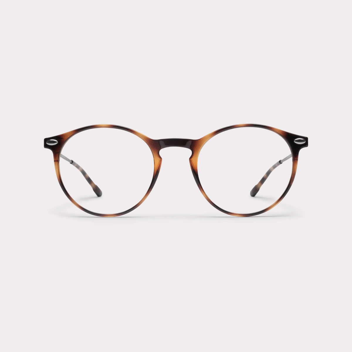 CRUZ TORTOISE