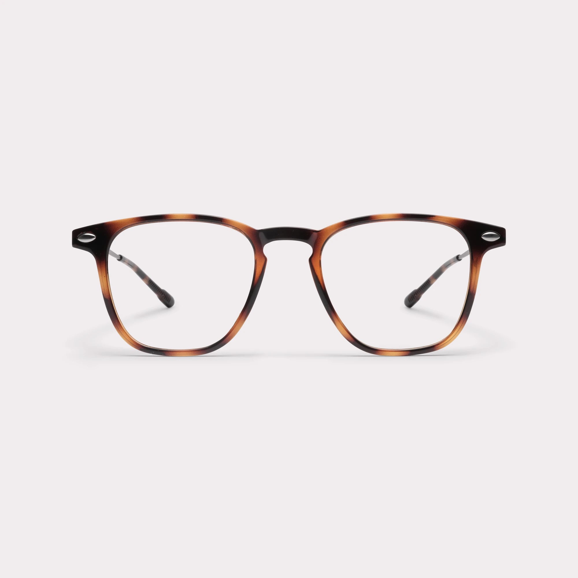 BLUE LIGHT READING DONI TORTOISE +2.5