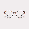 ALBA TORTOISE