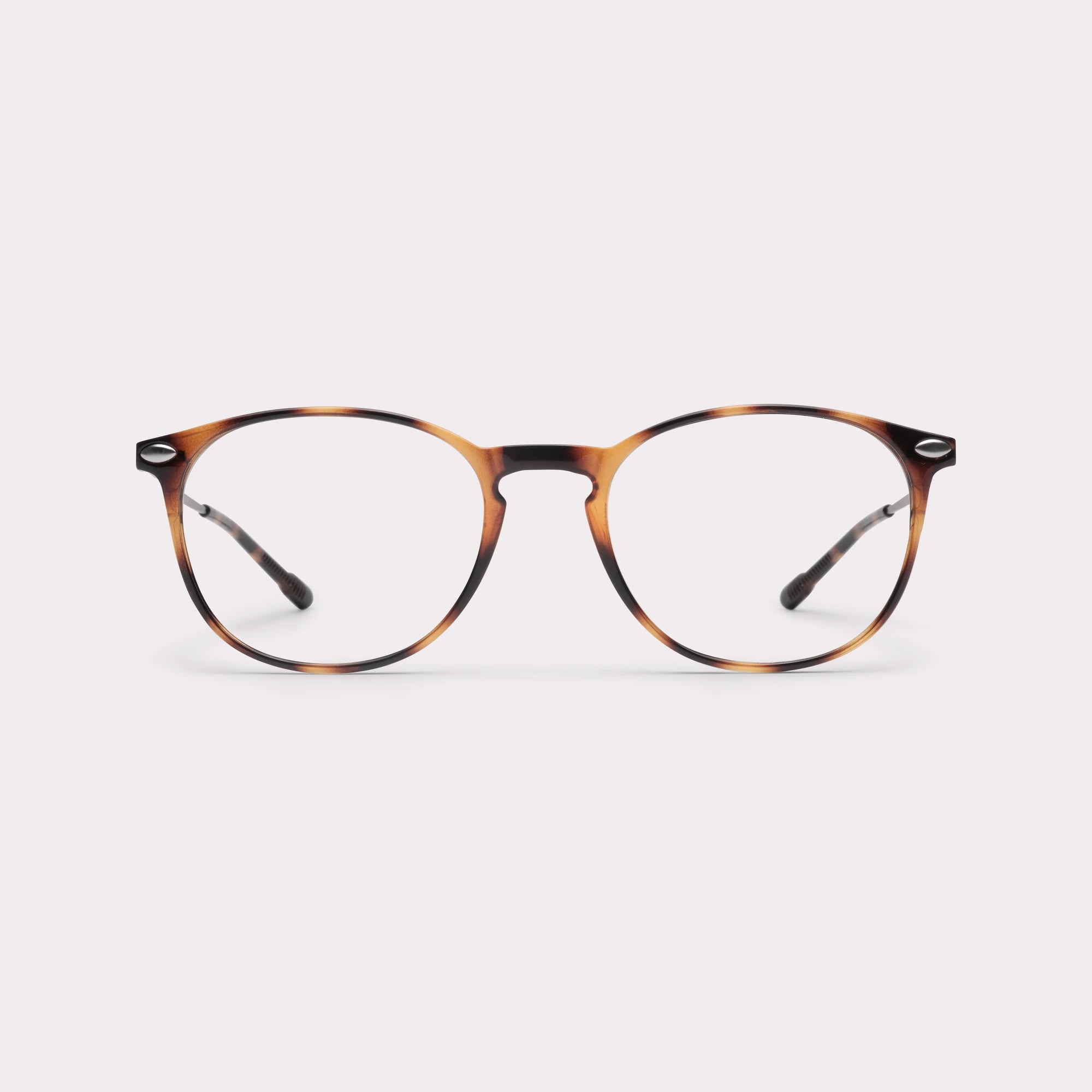 MULTIDISTANCE ALBA TORTOISE +2