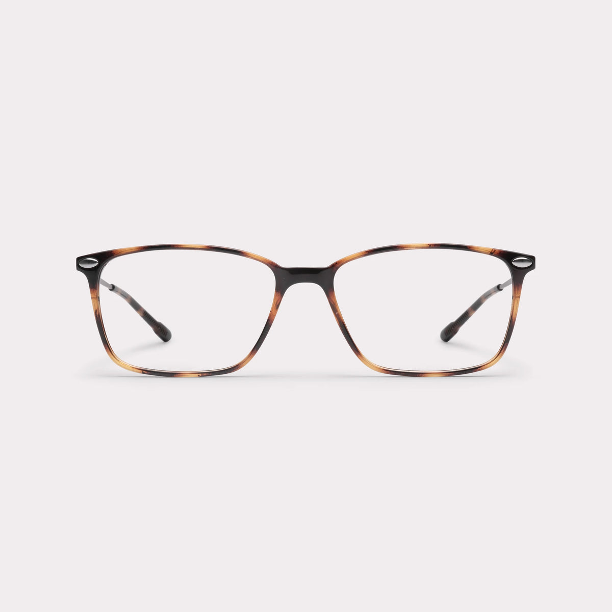BAO TORTOISE