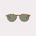 SUN CRUZY LARGE TORTOISE