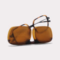 LENA Lectura · Tortoise · estuche