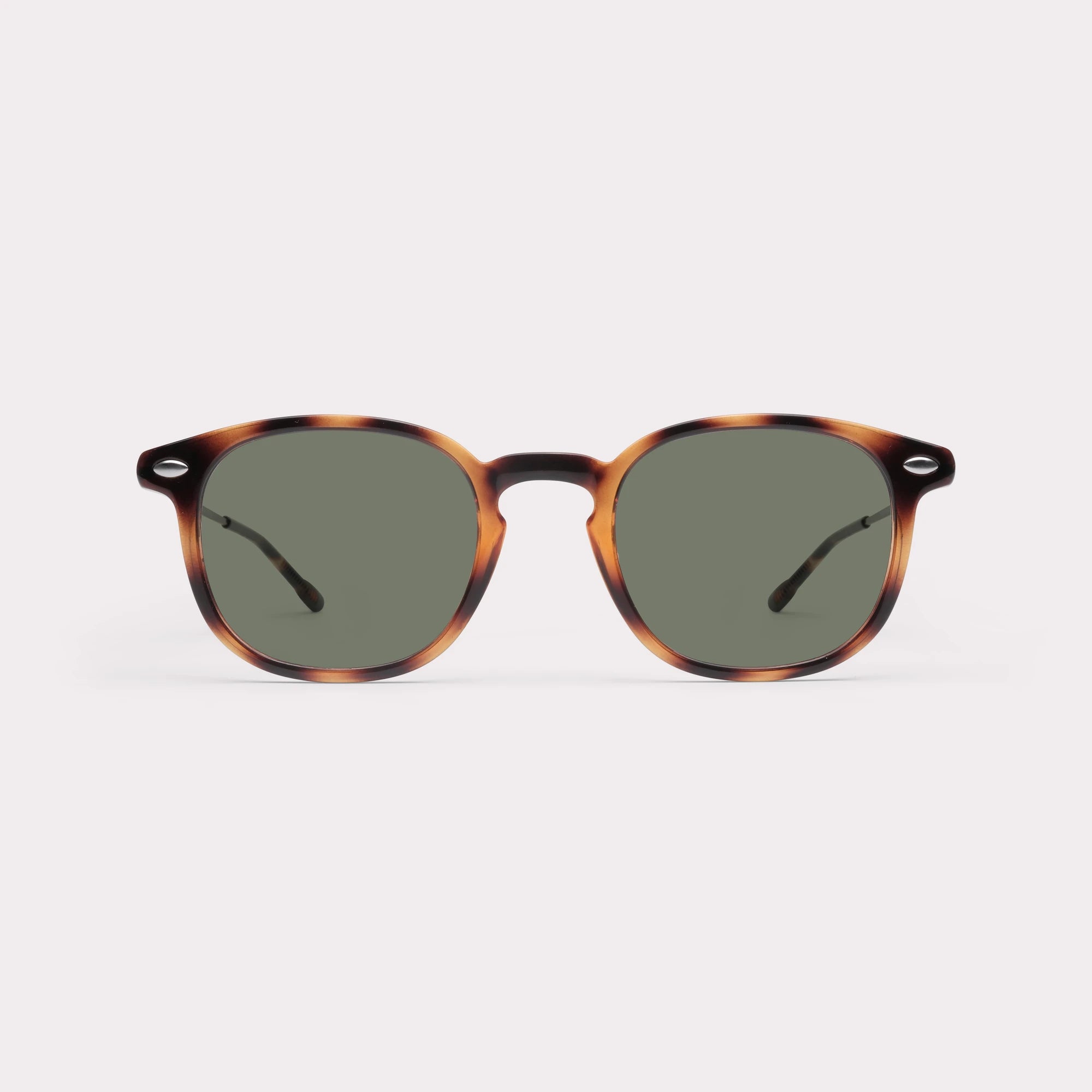 SUN ALMA TORTOISE