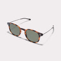 ALMA Solar Polarizado · Tortoise · vista lateral