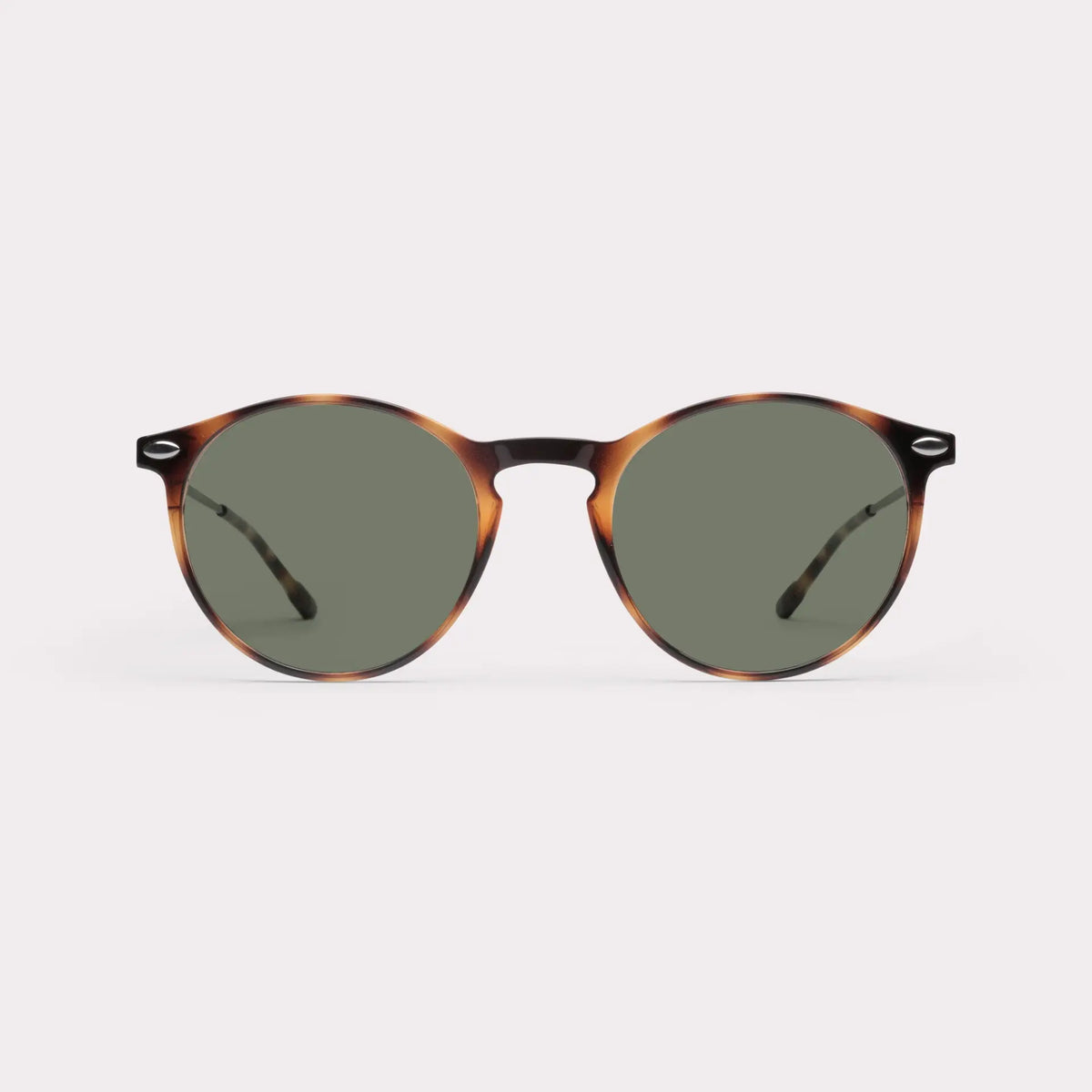 CRUZ TORTOISE
