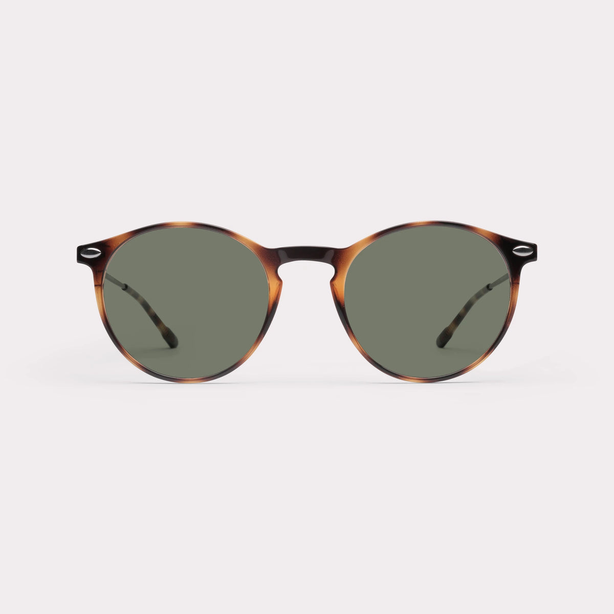 CRUZ TORTOISE