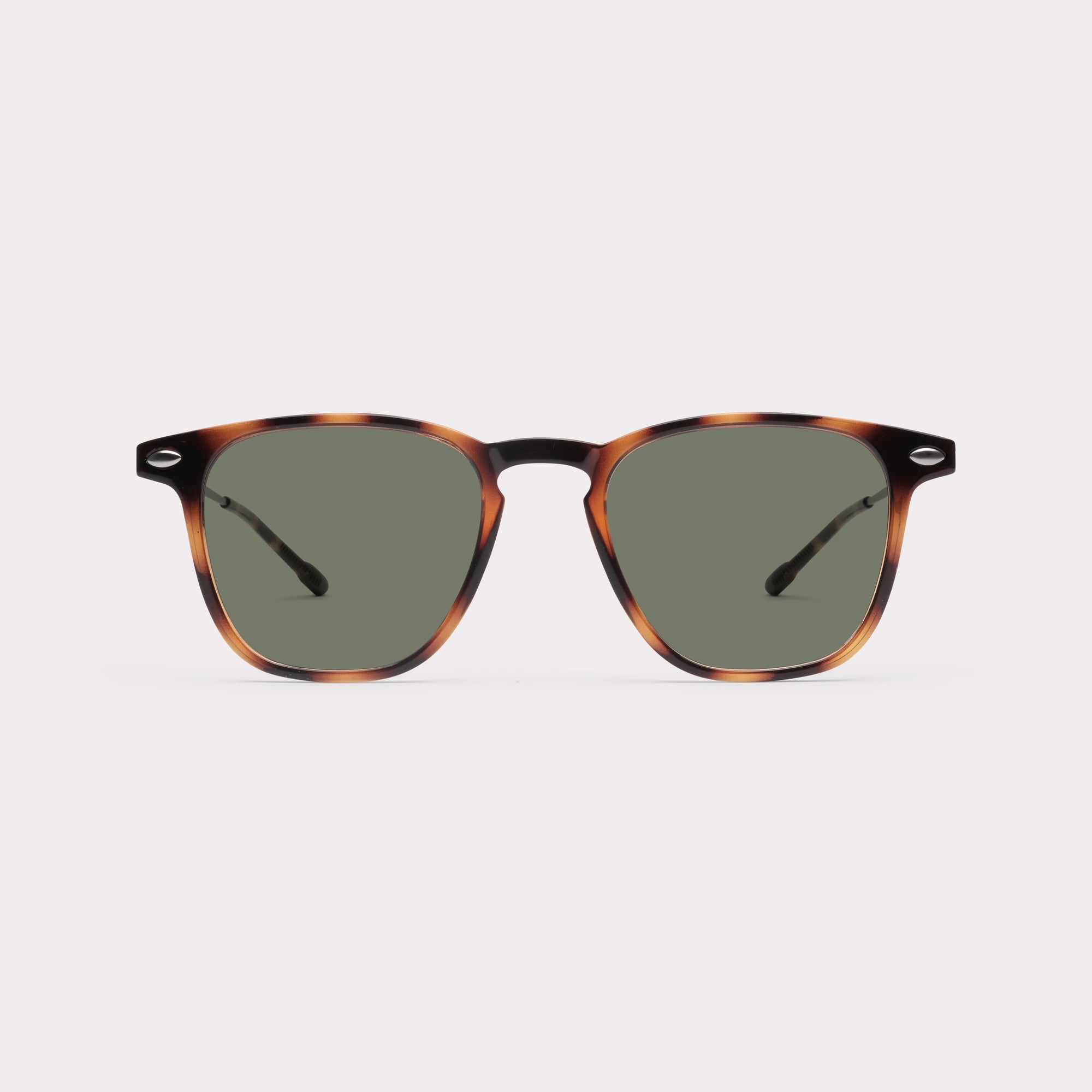 SUN READING DONI TORTOISE +3