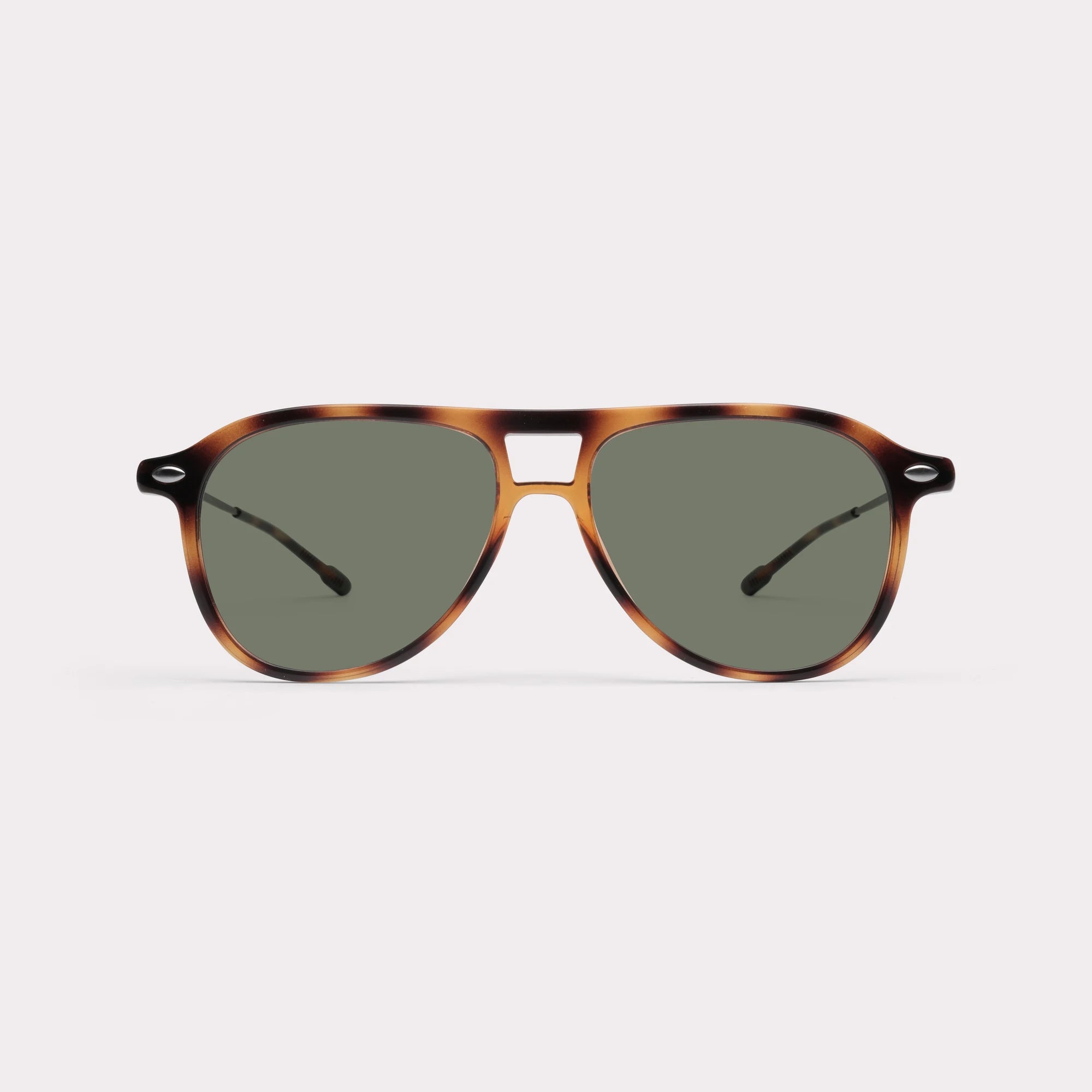 SUN FLYE TORTOISE