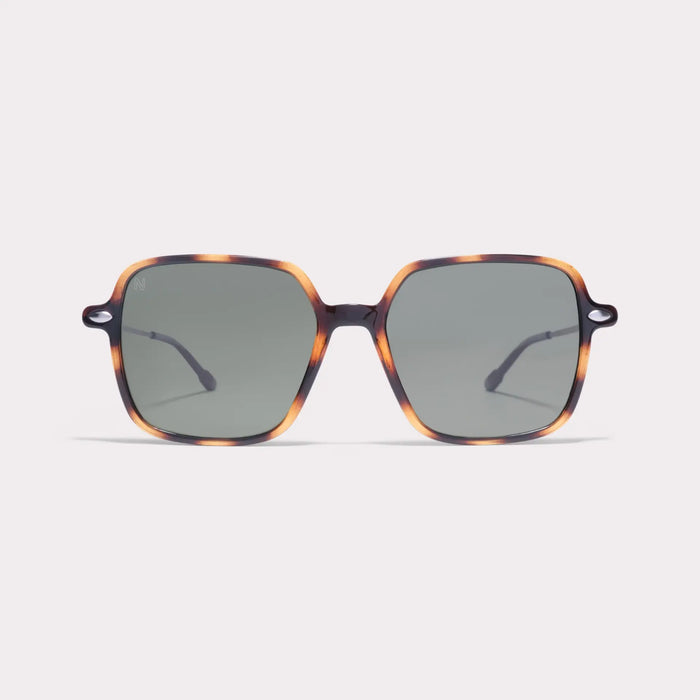 LENA Solar Polarizado TORTOISE